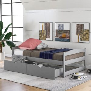 Twin Size Platform Bed, With Two Drawers, Gray